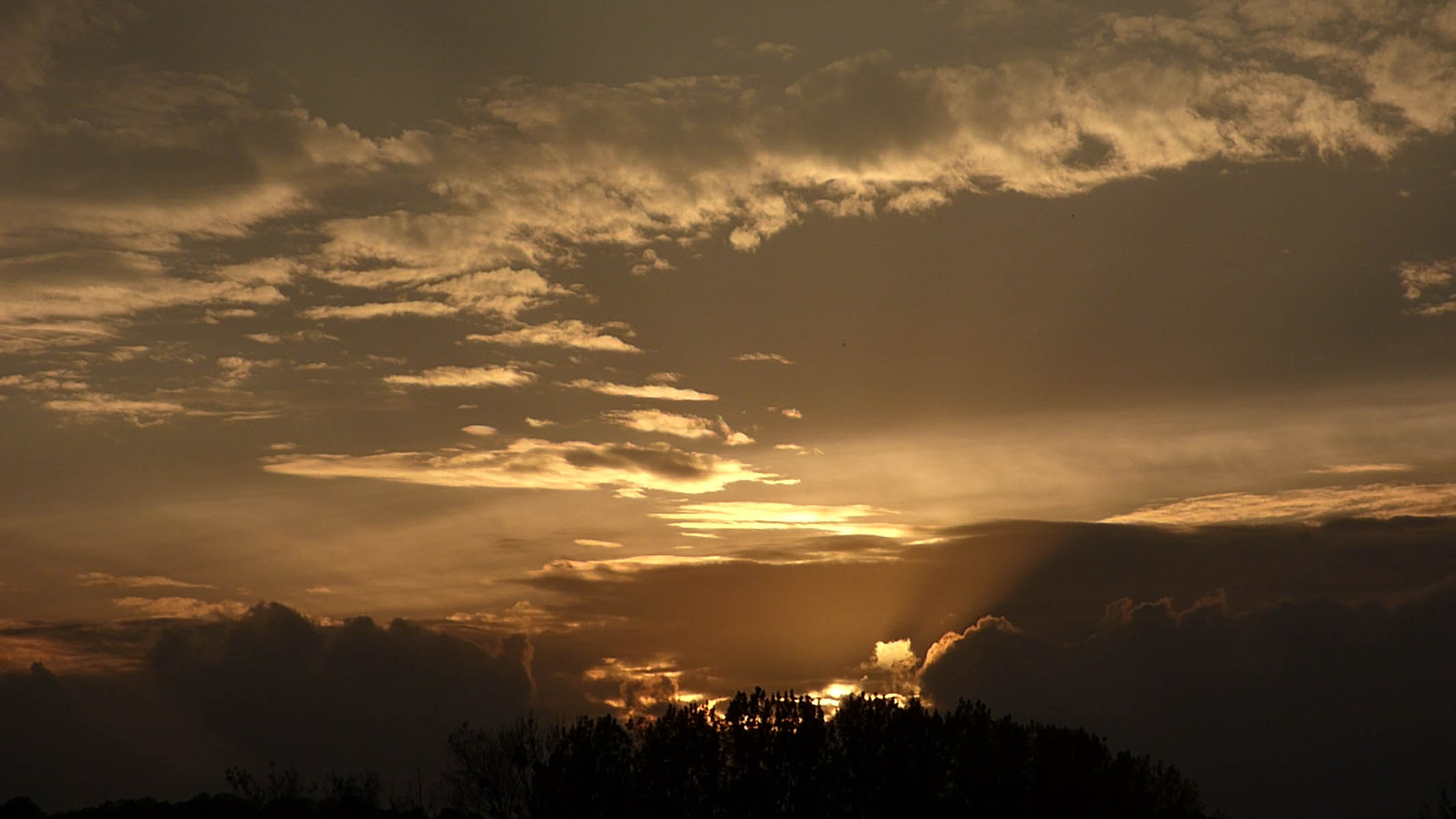 Ciels