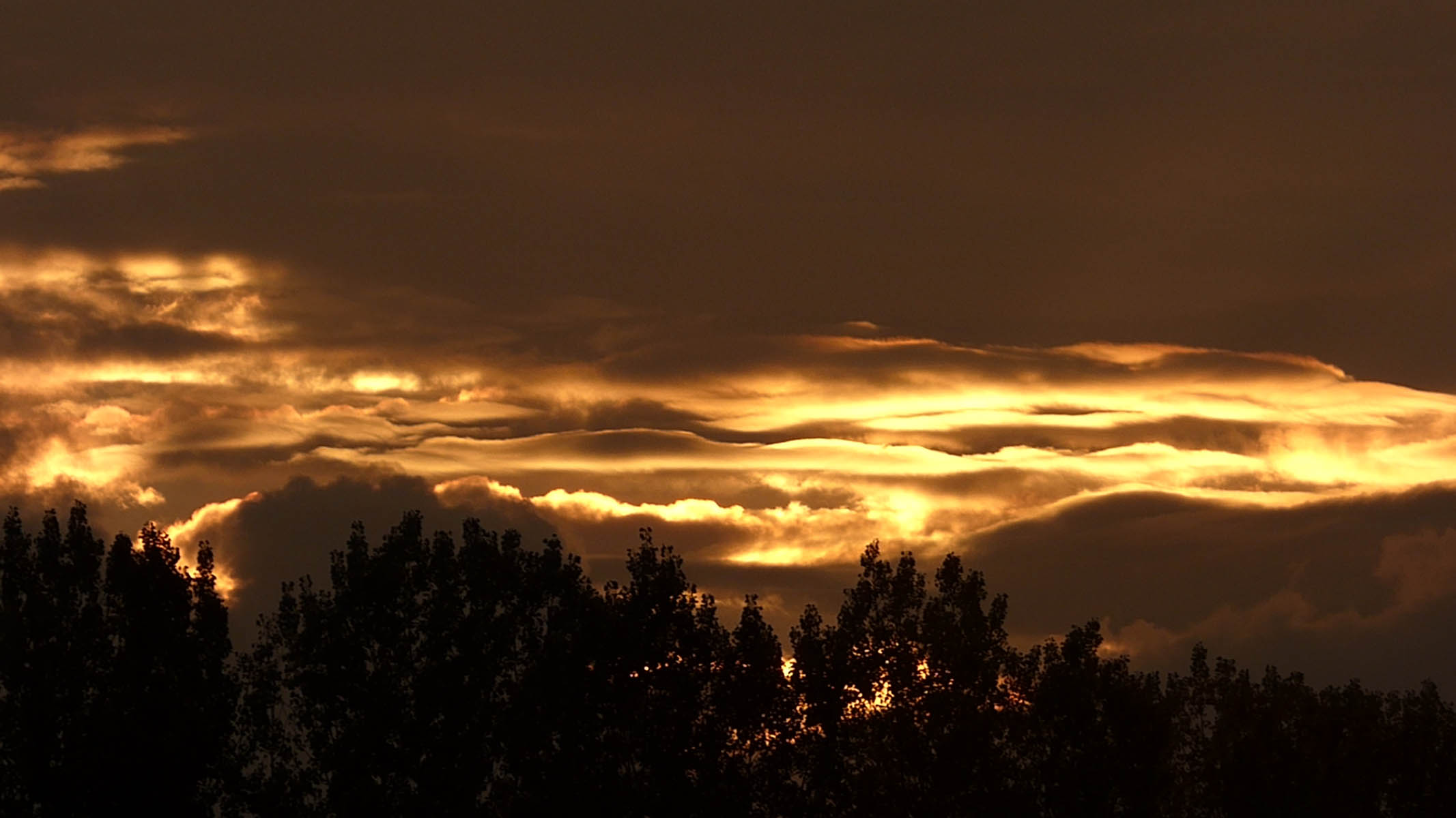 Ciels