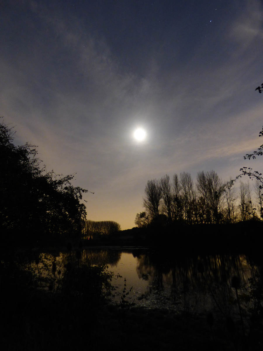 Visions de nuit
