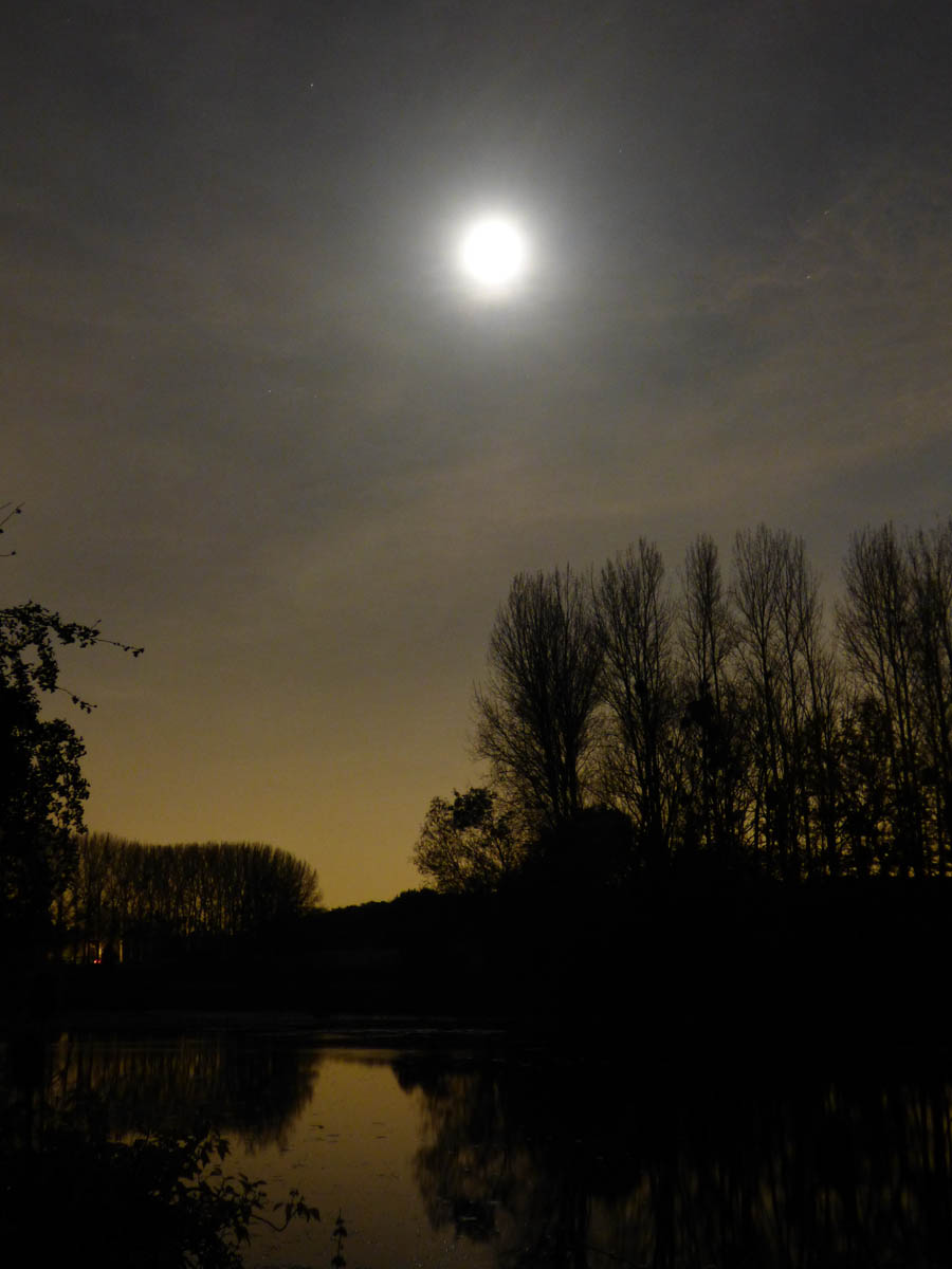 Visions de nuit