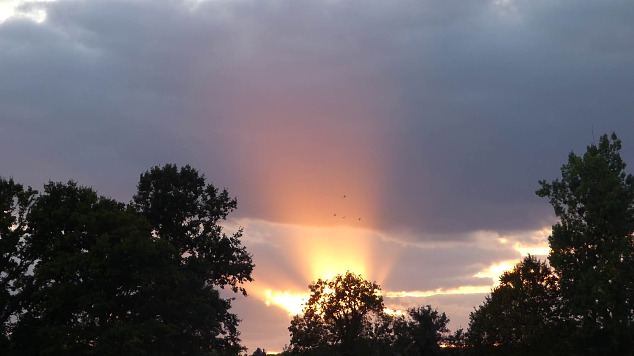 Rayons du soir
