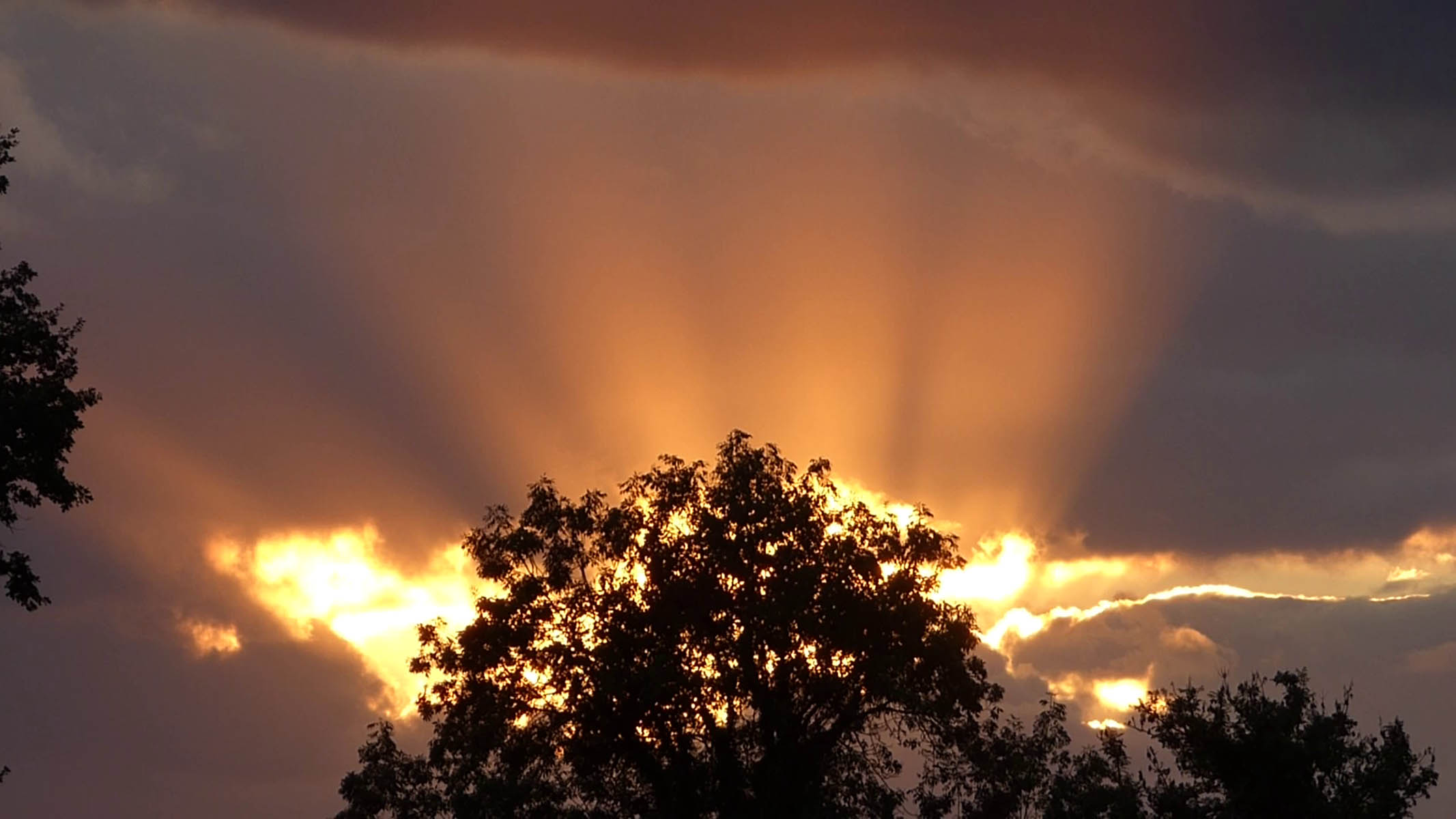 Rayons du soir