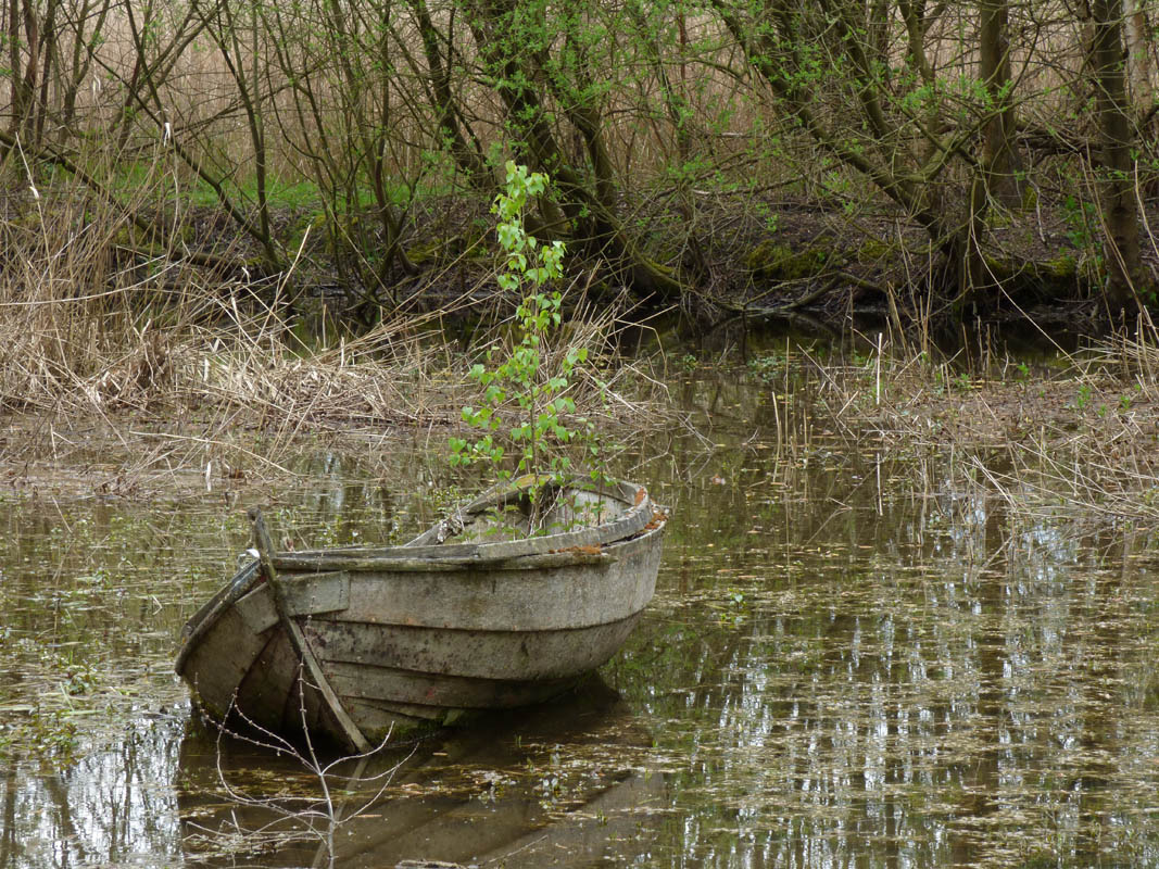 Ballade discrète dans le GOUY (30 avril 2016)