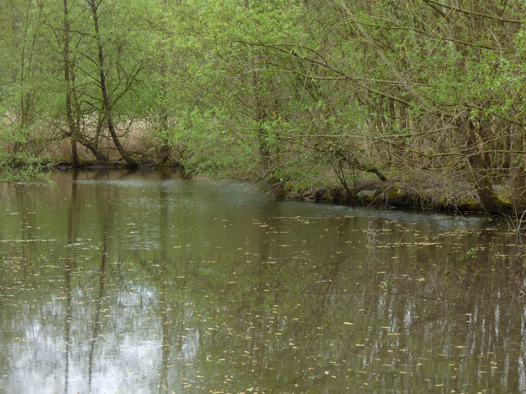 Ballade discrète dans le GOUY (30 avril 2016)