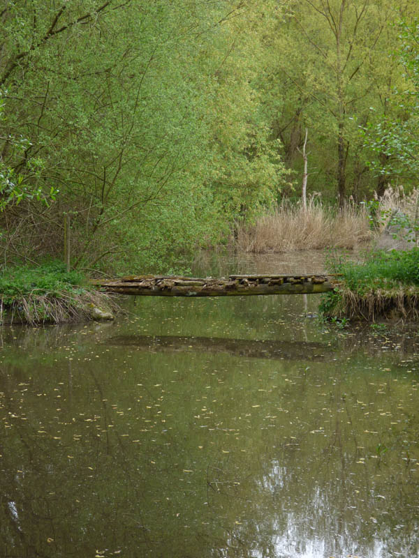 Ballade discrète dans le GOUY (30 avril 2016)