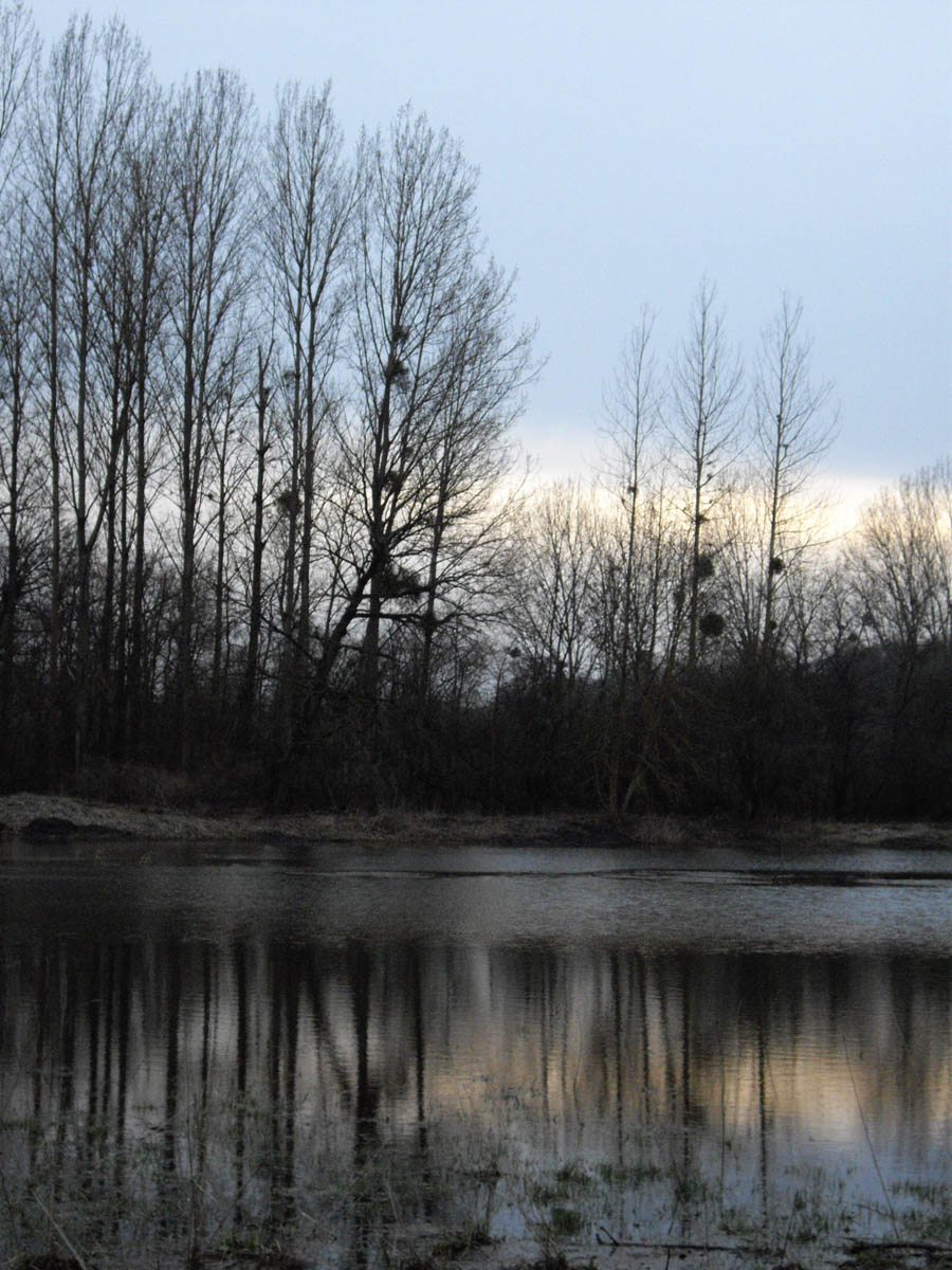 Etang de la flache