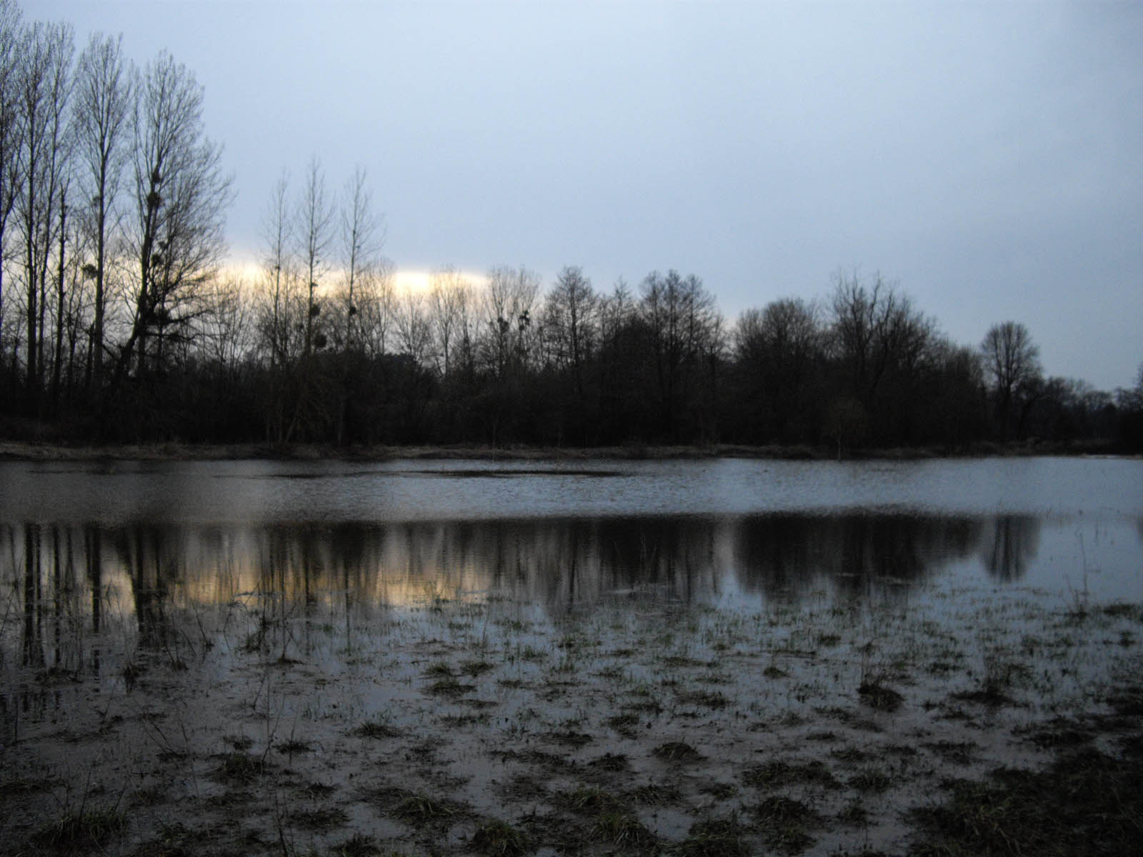 Etang de la flache