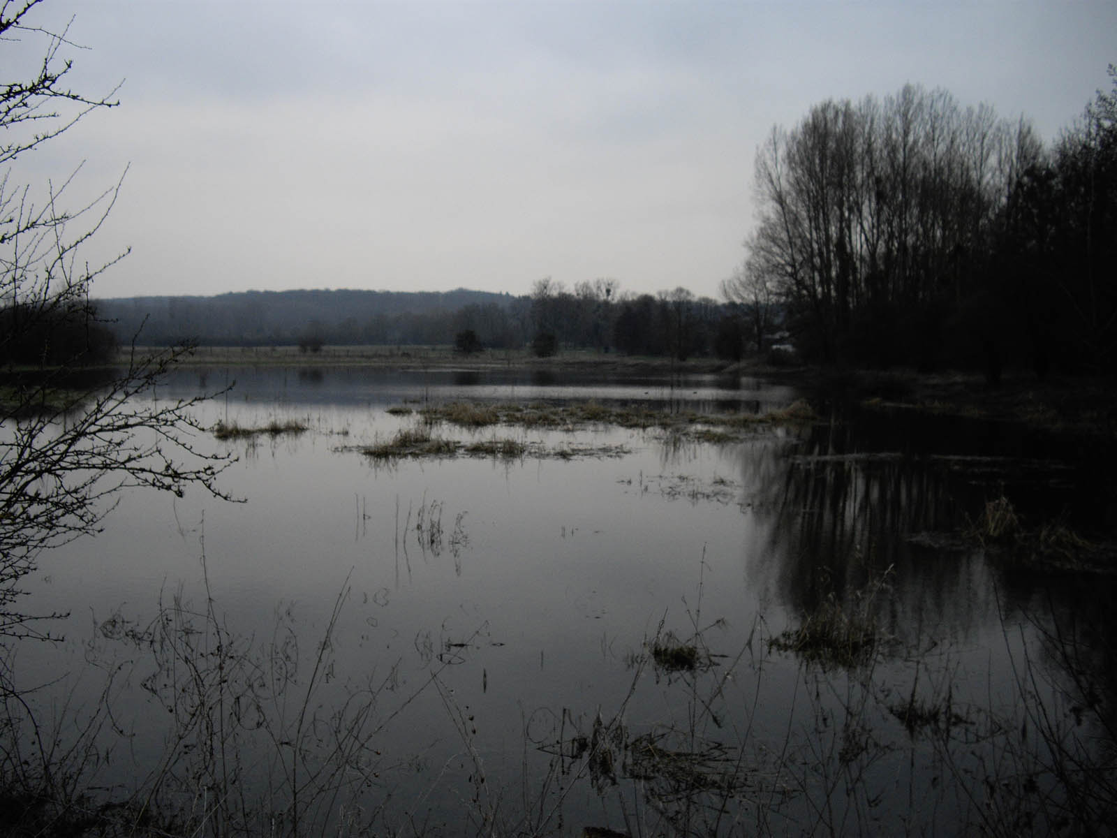 Etang de la flache