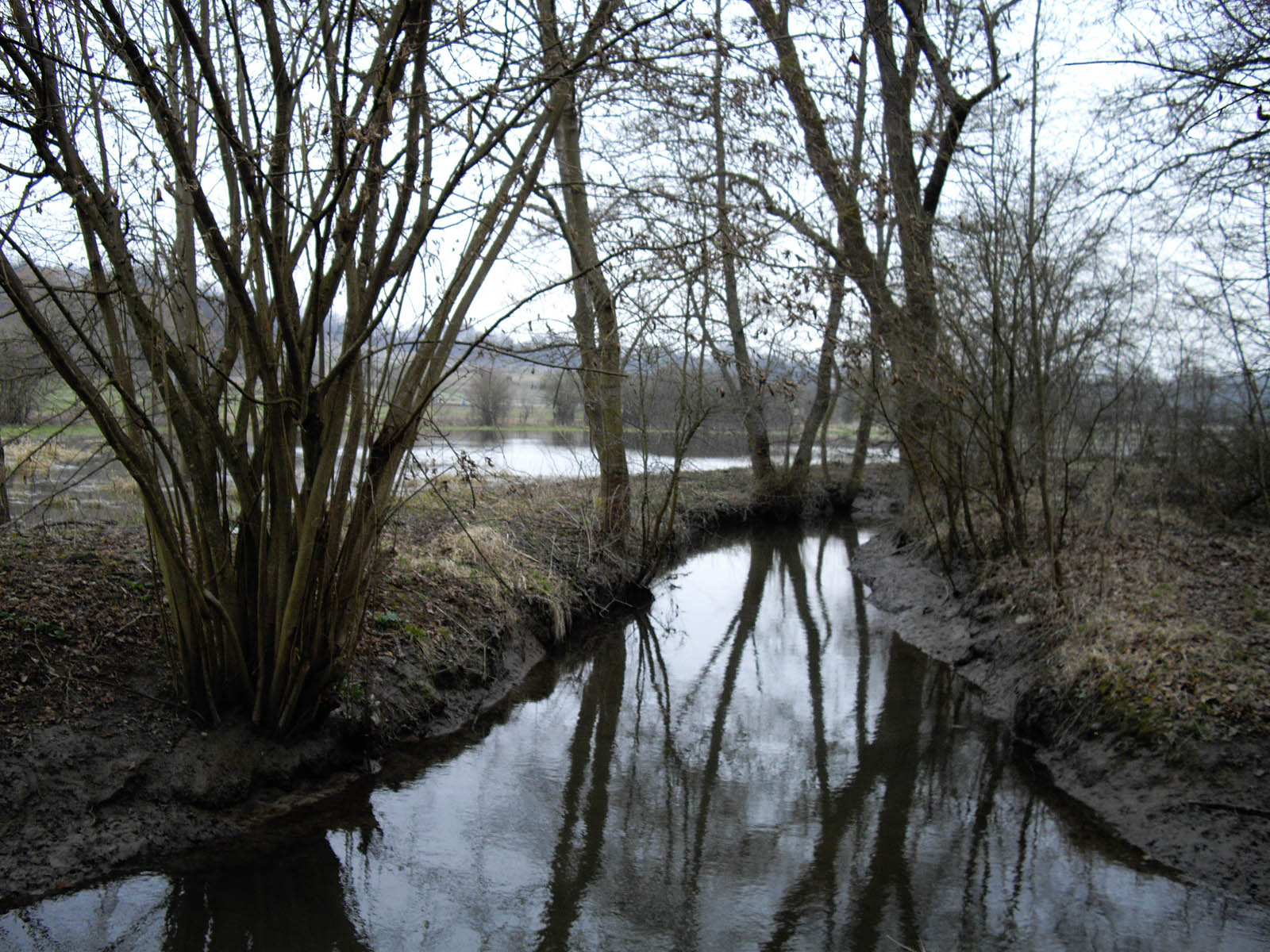 La Flache, l'Ysieux