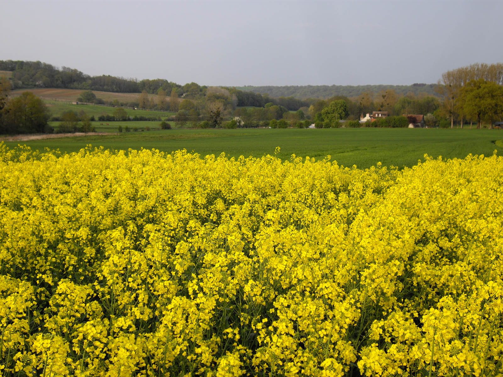 Le moulin de Luzarches(17ème-s.)