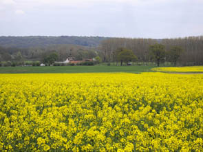 Le moulin du 17ème (Luzarches)