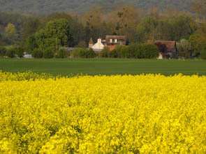 Le moulin du 17ème (Luzarches)