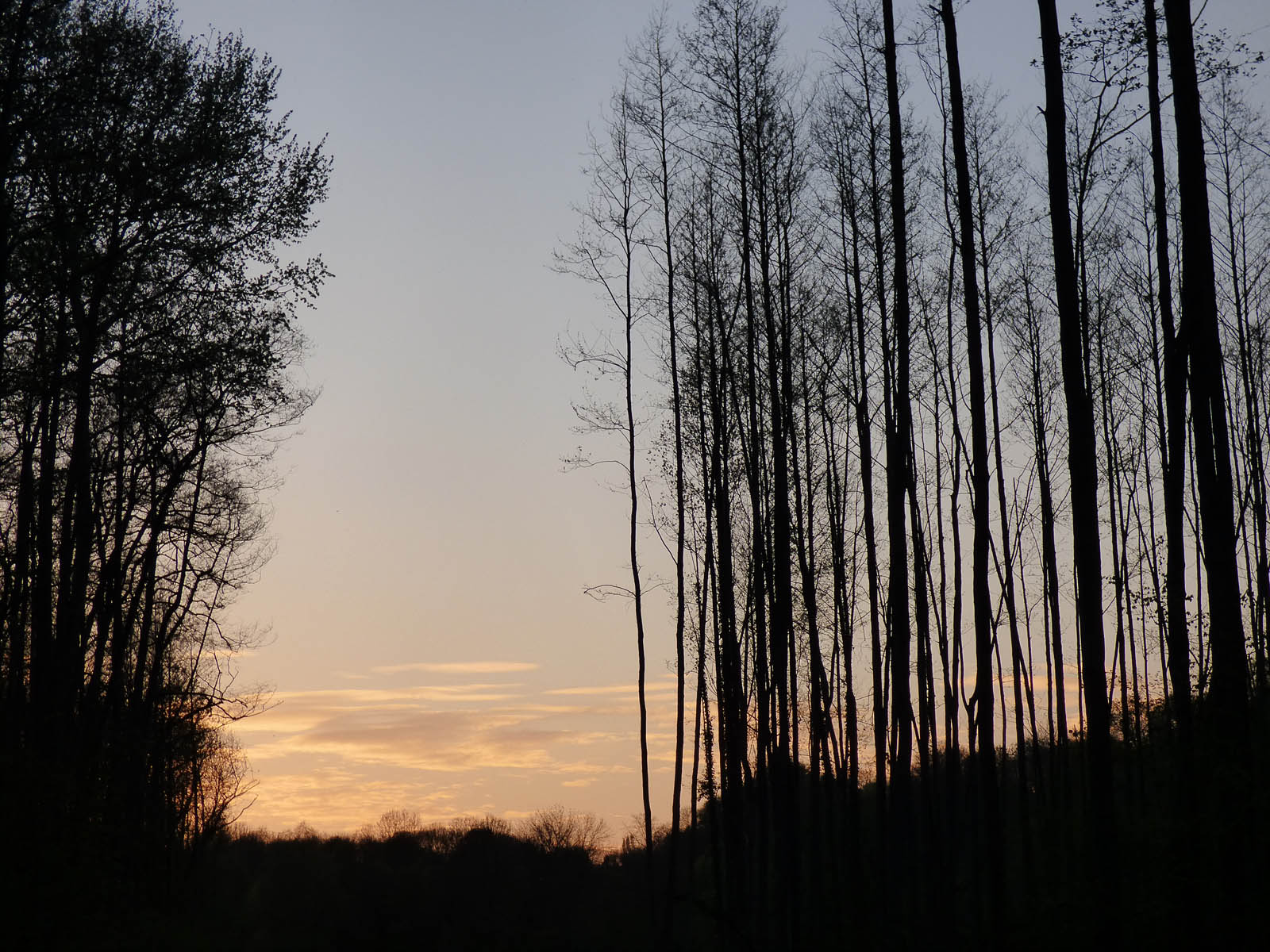 Paysages luzarchois du soir