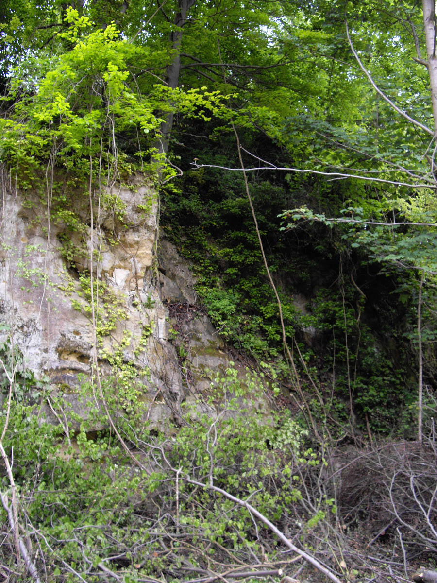 Le plateau de saint Côme (Luzarches)