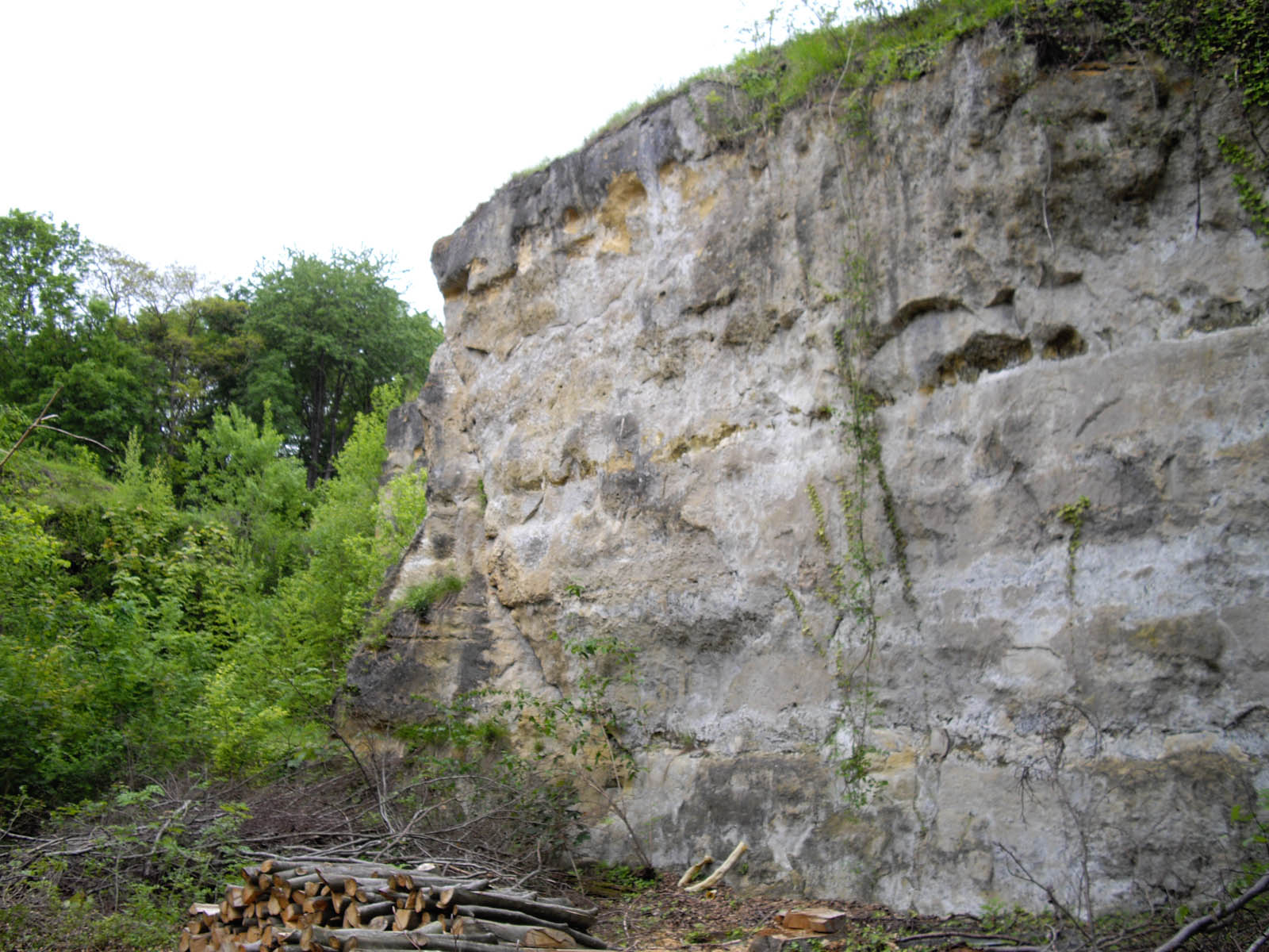 Le plateau de saint Côme (Luzarches)