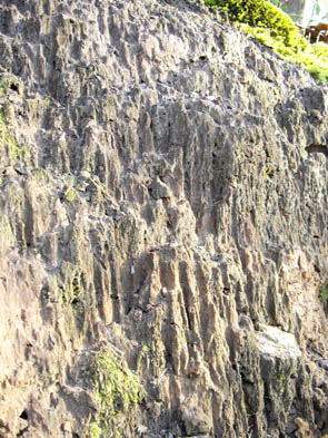 La forêt de Rocquemont (Luzarches)
