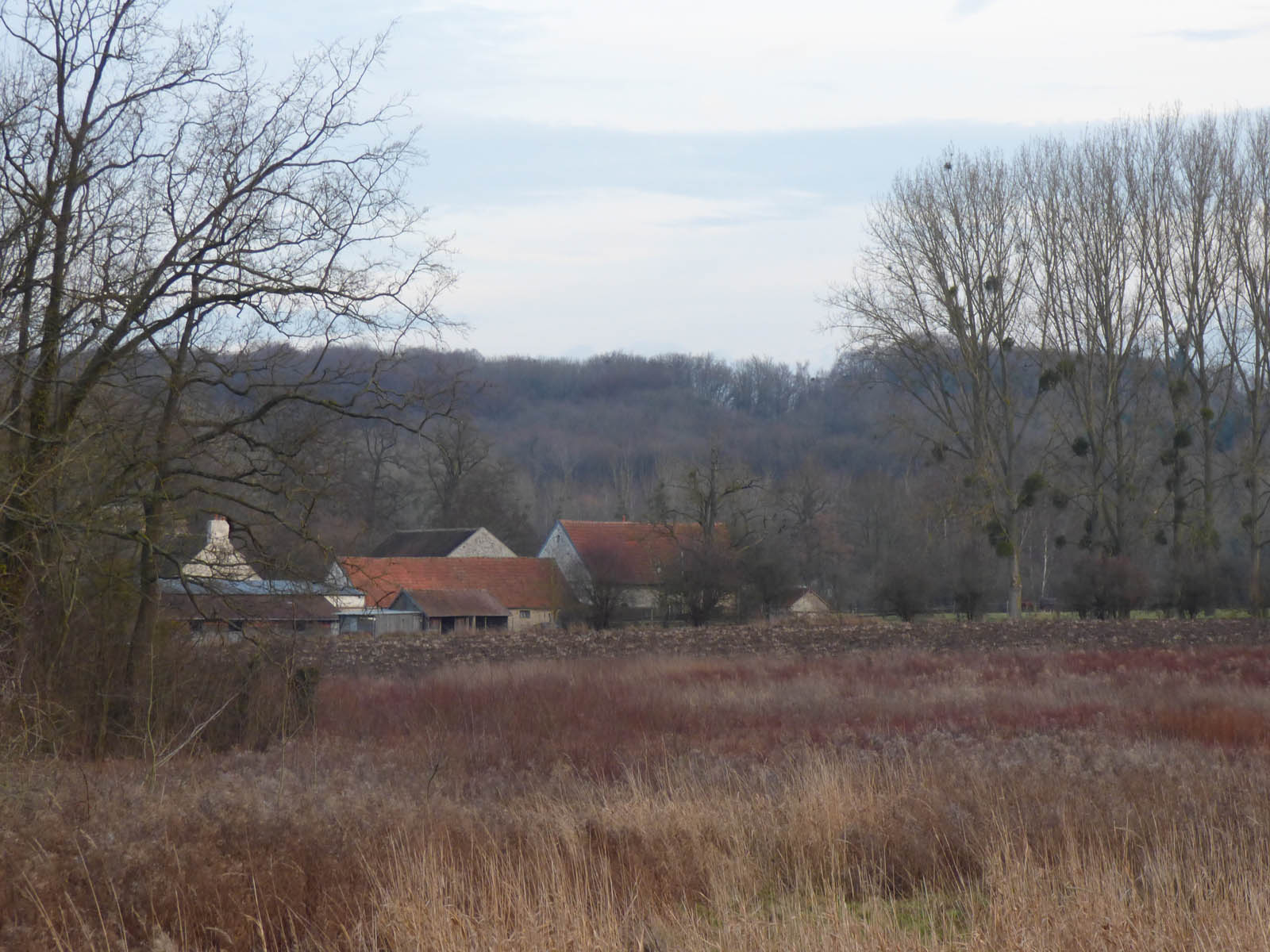 Paysages luzarchois