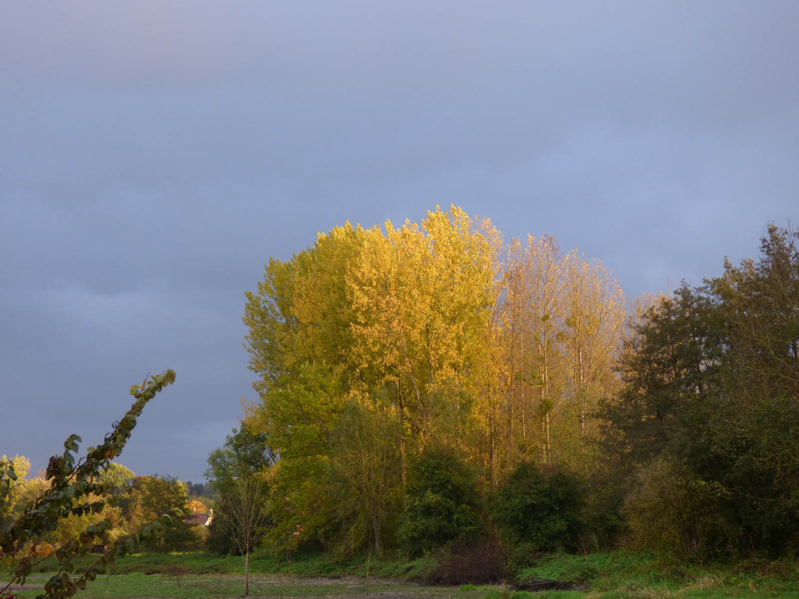 Paysages luzarchois