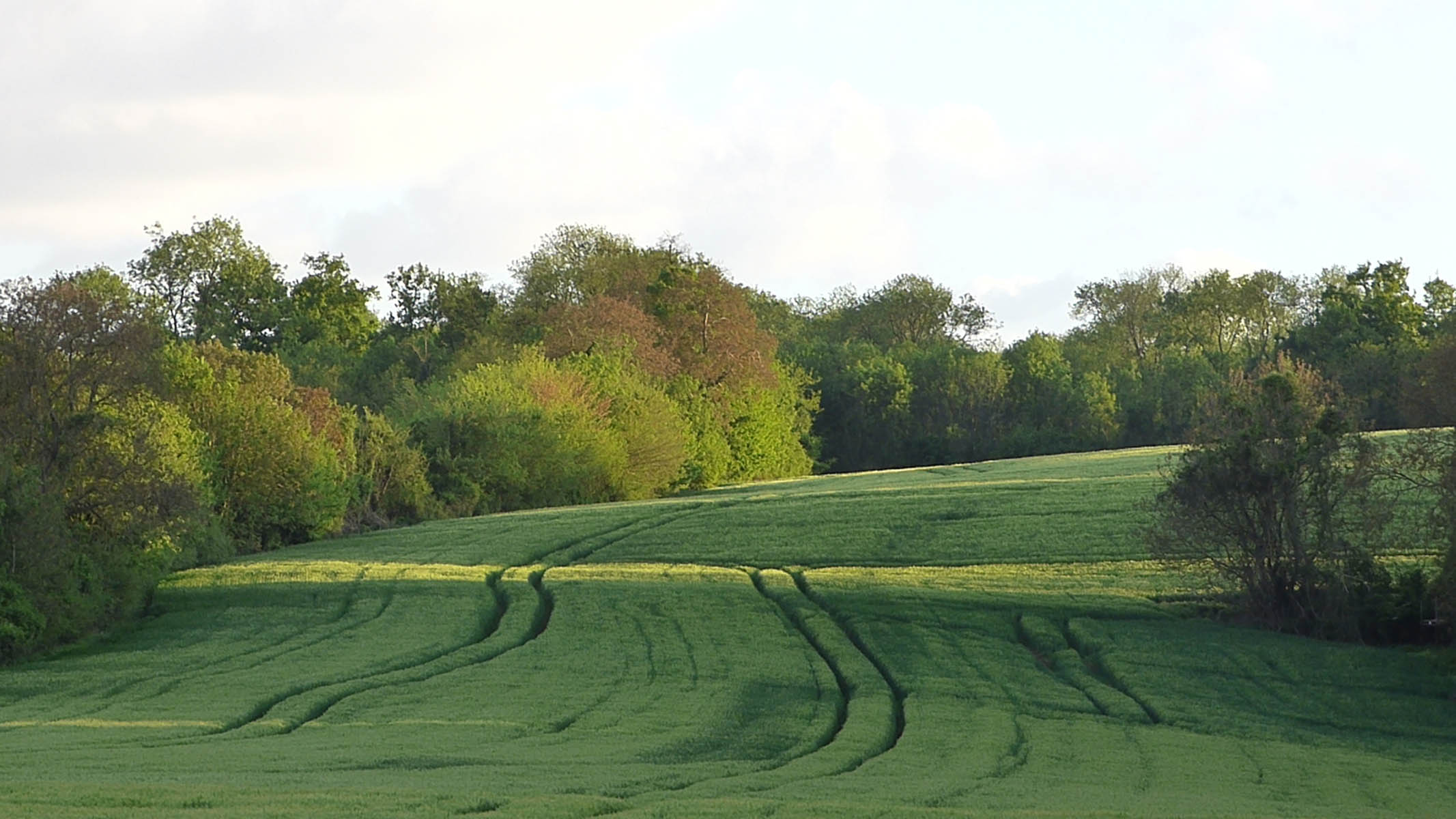Paysages luzarchois