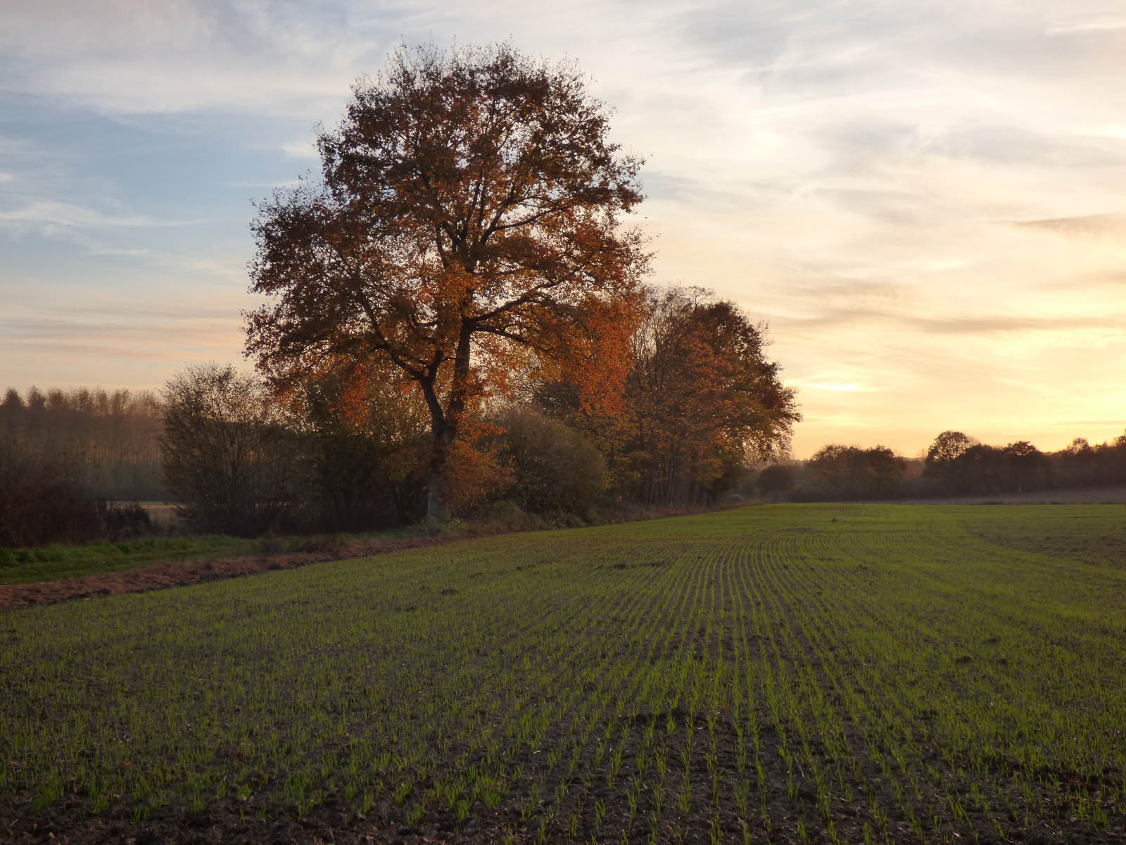 Paysages luzarchois
